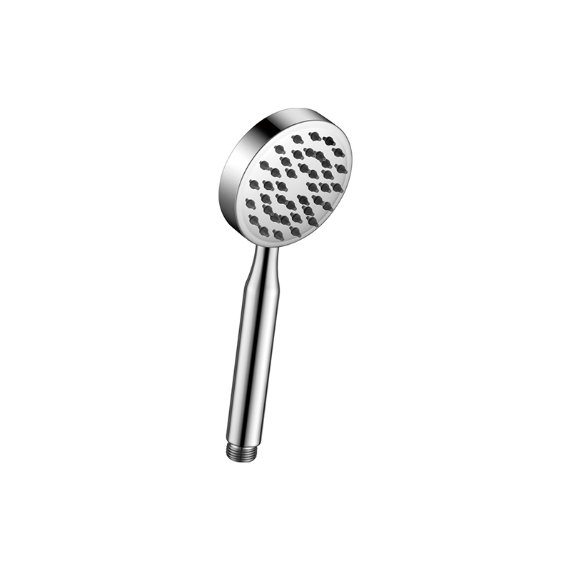 Set de pomme de douche argent brillant 6604