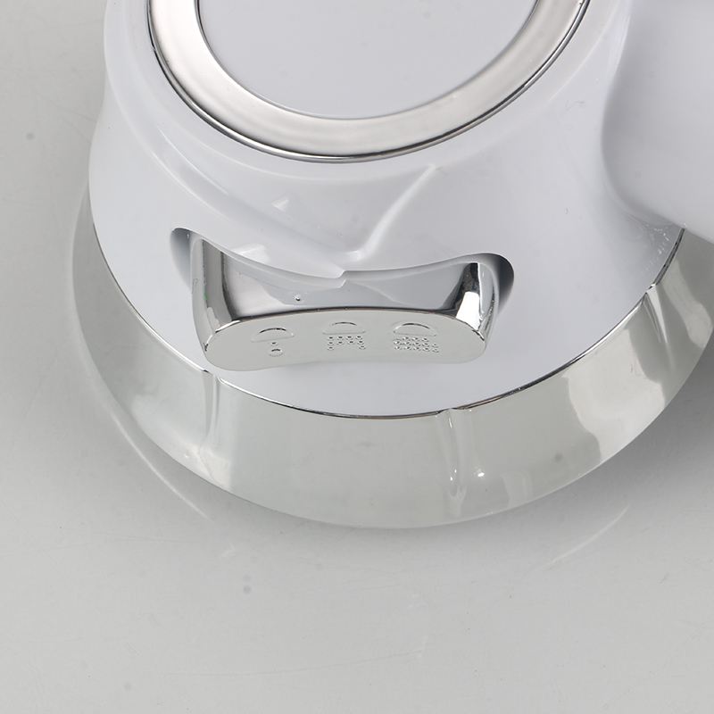 Pomme de douche Flow blanche