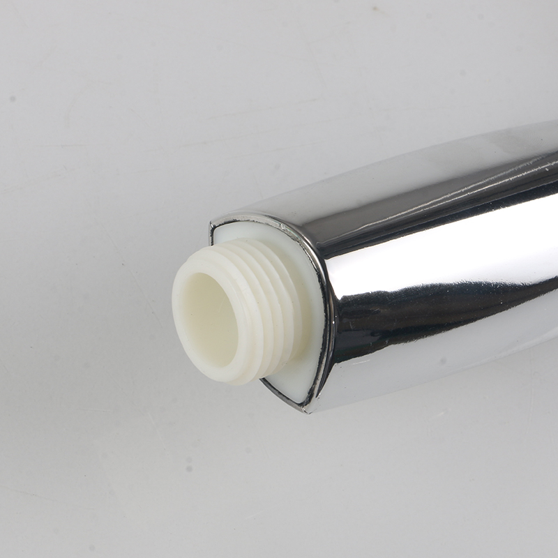 Pomme de douche Dahans